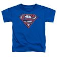 SUPERMAN : RIPPED AND SHREDDED S\S TODDLER TEE ROYAL BLUE LG (4T) Online Hot Sale