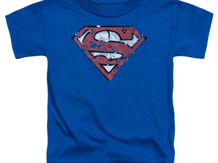 SUPERMAN : RIPPED AND SHREDDED S\S TODDLER TEE ROYAL BLUE LG (4T) Online Hot Sale