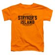 SUPERMAN : STRYKER S ISLAND S\S TODDLER TEE Orange SM (2T) Online