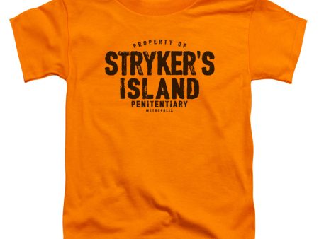 SUPERMAN : STRYKER S ISLAND S\S TODDLER TEE Orange SM (2T) Online