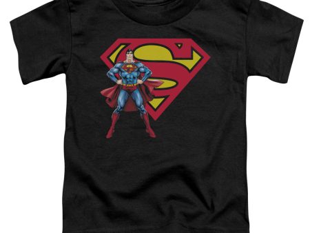 SUPERMAN : SUPERMAN AND LOGO S\S TODDLER TEE BLACK SM (2T) Supply