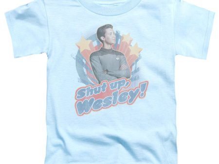 STAR TREK : SHUT UP WESLEY S\S TODDLER TEE LIGHT BLUE MD (3T) Supply