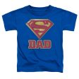 SUPERMAN : SUPER DAD S\S TODDLER TEE Royal Blue LG (4T) on Sale