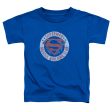 SUPERMAN : MUSCLE CLUB S\S TODDLER TEE ROYAL BLUE LG (4T) on Sale