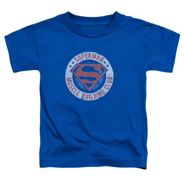 SUPERMAN : MUSCLE CLUB S\S TODDLER TEE ROYAL BLUE LG (4T) on Sale