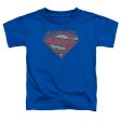 SUPERMAN : NEW 52 SHIELD S\S TODDLER TEE Royal Blue LG (4T) For Cheap