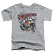 SUPERMAN : SUPER KO S\S TODDLER TEE Athletic Heather LG (4T) For Cheap