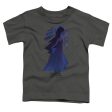 STEVEN UNIVERSE : BLUE DIAMOND MURAL S\S TODDLER TEE Charcoal SM (2T) Online