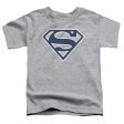 SUPERMAN : NAVY AND WHITE SHIELD S\S TODDLER TEE Athletic Heather MD (3T) Online now