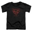 SUPERMAN : LA S\S TODDLER TEE Black LG (4T) Cheap