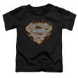 SUPERMAN : STEEL FIRE SHIELD S\S TODDLER TEE Black SM (2T) Hot on Sale