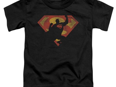 SUPERMAN : S SHIELD KNOCKOUT S\S TODDLER TEE Black SM (2T) For Discount