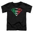 SUPERMAN : MEXICAN FLAG SHIELD S\S TODDLER TEE Black LG (4T) Hot on Sale