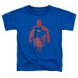 SUPERMAN : SUPER KNOCKOUT S\S TODDLER TEE Royal Blue MD (3T) Online Hot Sale