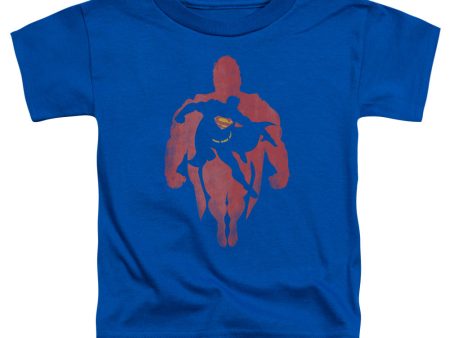 SUPERMAN : SUPER KNOCKOUT S\S TODDLER TEE Royal Blue MD (3T) Online Hot Sale