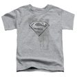 SUPERMAN : RIVETED METAL S\S TODDLER TEE ATHLETIC HEATHER LG (4T) For Cheap