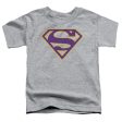 SUPERMAN : PURPLE AND GOLD SHIELD S\S TODDLER TEE Athletic Heather LG (4T) Online Hot Sale