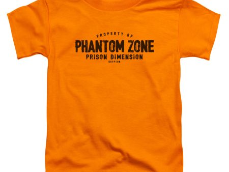 SUPERMAN : PHANTOM ZONE S\S TODDLER TEE Orange SM (2T) Online Hot Sale