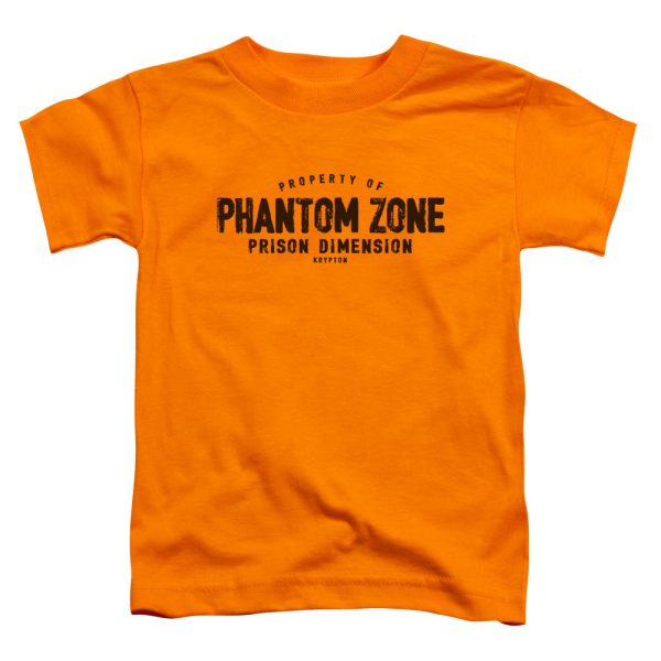 SUPERMAN : PHANTOM ZONE S\S TODDLER TEE Orange SM (2T) Online Hot Sale