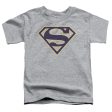 SUPERMAN : NAVY AND GOLD SHIELD S\S TODDLER TEE Athletic Heather SM (2T) on Sale