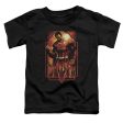 SUPERMAN : METROPOLIS DECO S\S TODDLER TEE BLACK LG (4T) Online Sale