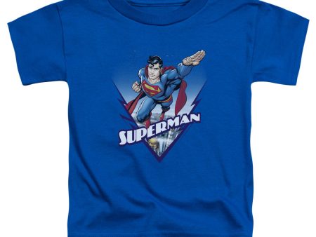 SUPERMAN : LOOKS LIKE A JOB FOR S\S TODDLER TEE ROYAL BLUE LG (4T) For Discount