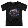 SUPERMAN : STARDUST S\S TODDLER TEE Black MD (3T) For Sale