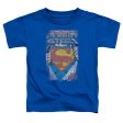 SUPERMAN : LEGENDARY S\S TODDLER TEE ROYAL BLUE LG (4T) on Sale