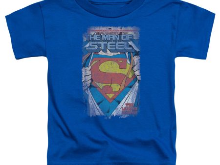 SUPERMAN : LEGENDARY S\S TODDLER TEE ROYAL BLUE LG (4T) on Sale