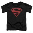 SUPERMAN : RED ON BLACK SHIELD S\S TODDLER TEE BLACK LG (4T) For Sale