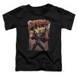 SUPERMAN : LIFT UP S\S TODDLER TEE Black SM (2T) Sale