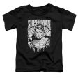 SUPERMAN : SUPER METAL S\S TODDLER TEE BLACK LG (4T) Online Sale