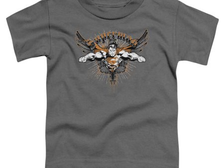 SUPERMAN : TAKE WING S\S TODDLER TEE CHARCOAL LG (4T) Discount