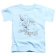 SUPERMAN : I FELL S\S TODDLER TEE LIGHT BLUE SM (2T) Discount