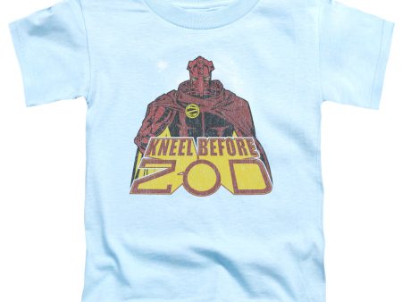 SUPERMAN : KNEEL BEFORE S\S TODDLER TEE LIGHT BLUE LG (4T) Sale