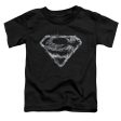 SUPERMAN : SMOKING SHIELD S\S TODDLER TEE BLACK MD (3T) Online