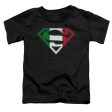 SUPERMAN : ITALIAN SHIELD S\S TODDLER TEE BLACK LG (4T) Online Sale