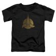 STAR TREK DISCOVERY : DISCOVERY TRIQUENTRA S\S TODDLER TEE Black SM (2T) Online Hot Sale