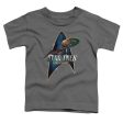 STAR TREK DISCOVERY : DISCOVERY DECO TODDLER SHORT SLEEVE Charcoal XL (5T) For Discount