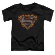 SUPERMAN : IRON FIRE SHIELD S\S TODDLER TEE BLACK SM (2T) Cheap