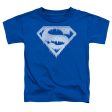 SUPERMAN : ICE AND SNOW SHIELD S\S TODDLER TEE ROYAL BLUE LG (4T) Online