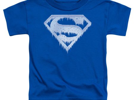 SUPERMAN : ICE AND SNOW SHIELD S\S TODDLER TEE ROYAL BLUE LG (4T) Online