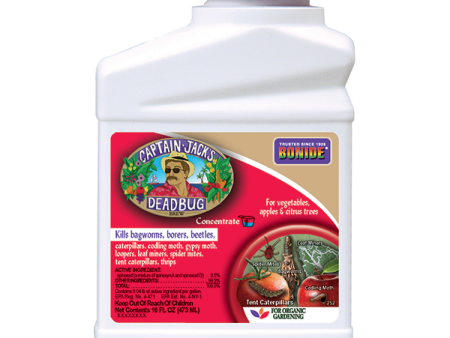 BONIDE CAPTAIN JACK  S DEADBUG BREW CONCENTRATE 1PT on Sale