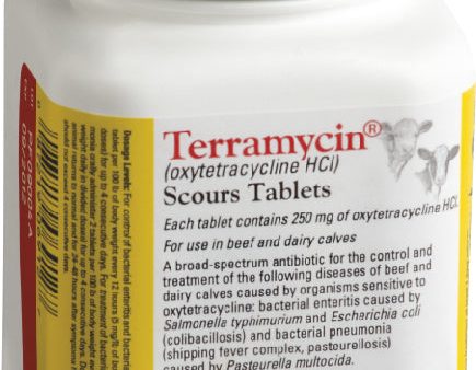 Zoetis TERRAMYCIN® Scours Tablets Online now