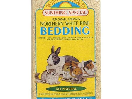 Sunseed Northern White Pine Bedding Online now